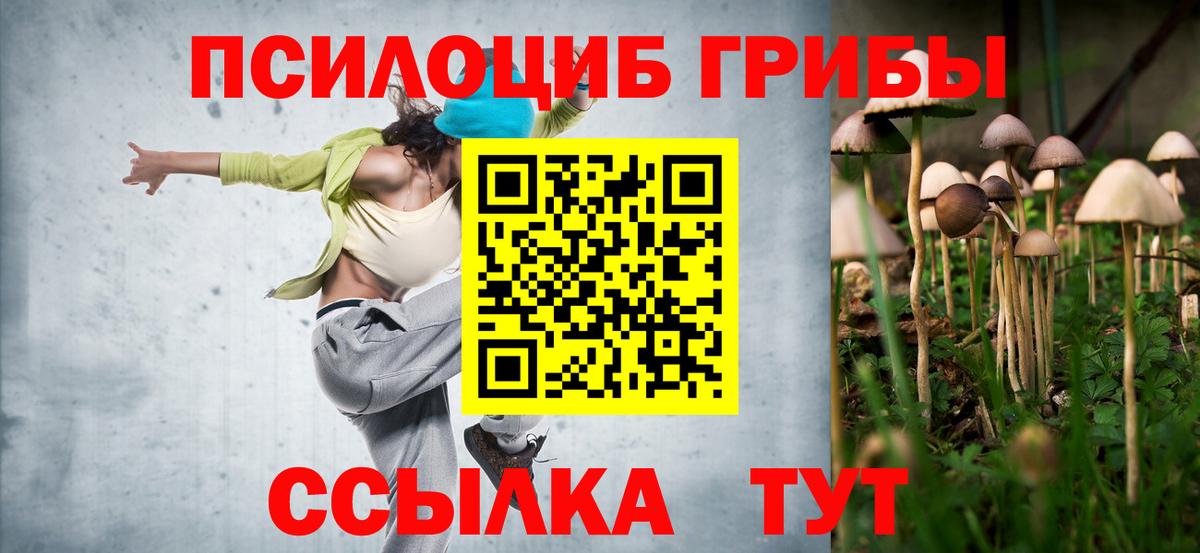Псилоцибиновые грибы Psilocybe  Вход с VPN  Железногорск 